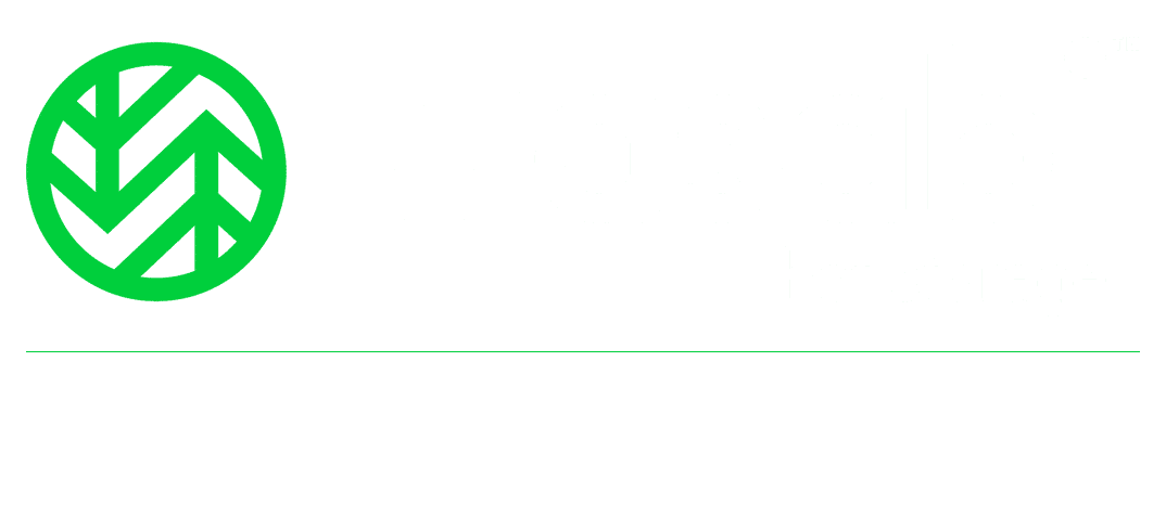 Wasabi Solutions Provider- Orlando Digital Business Services